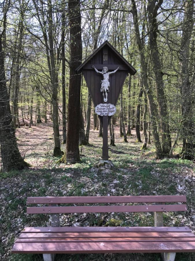 Pension-Ferienwohnung Liesbachtal Direkt Am Waldrand Bayerische Rhoen Schönau an der Brend المظهر الخارجي الصورة