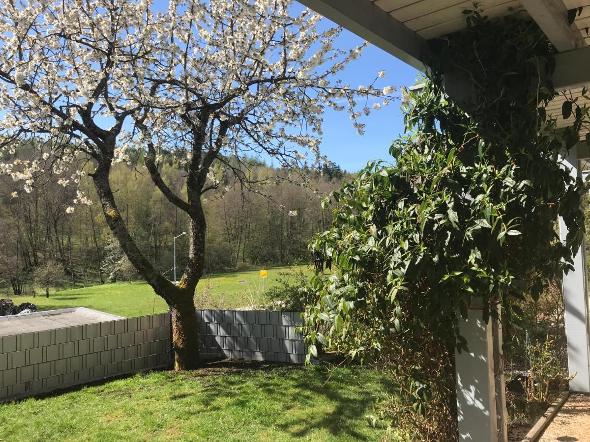 Pension-Ferienwohnung Liesbachtal Direkt Am Waldrand Bayerische Rhoen Schönau an der Brend المظهر الخارجي الصورة