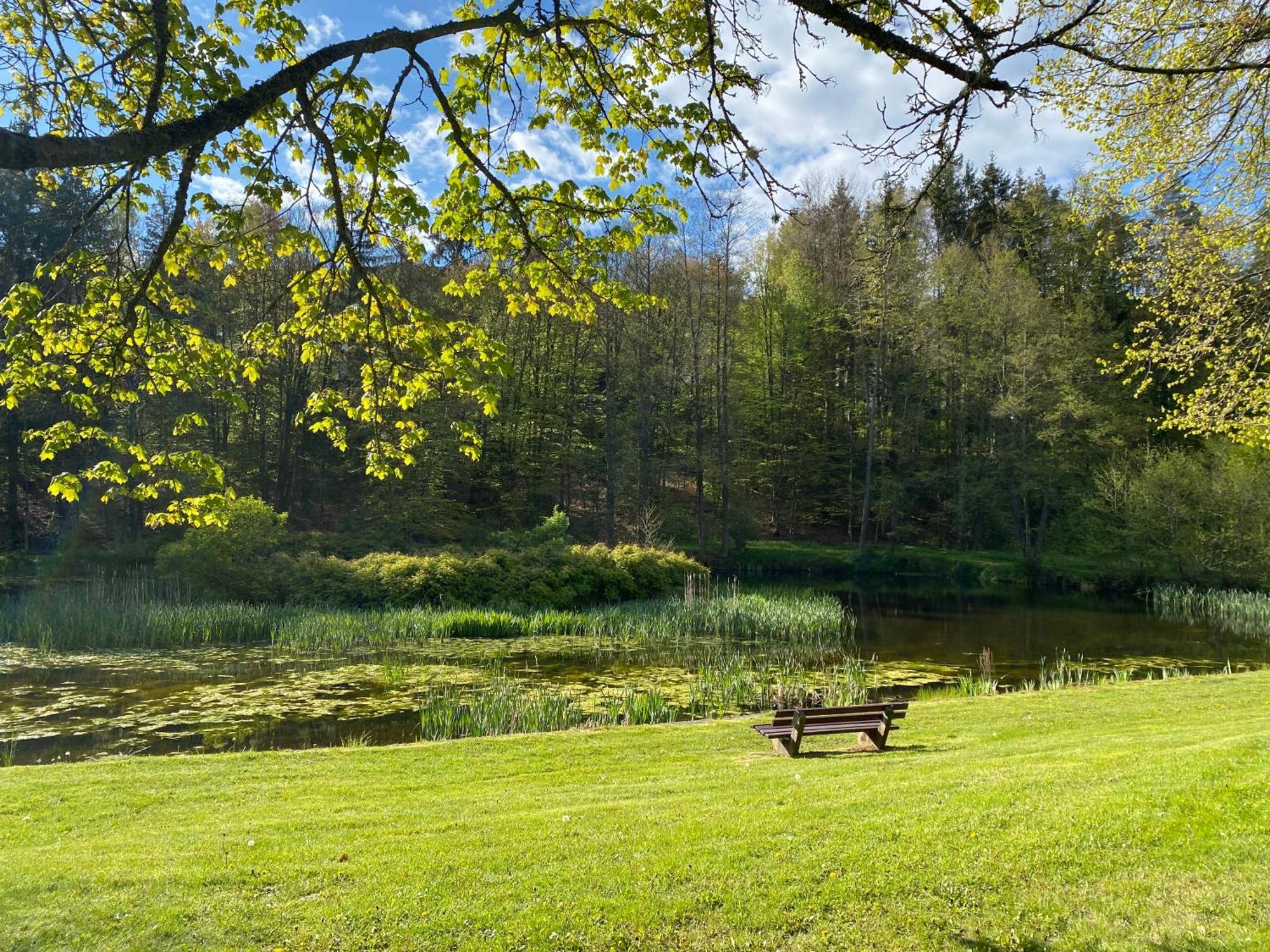 Pension-Ferienwohnung Liesbachtal Direkt Am Waldrand Bayerische Rhoen Schönau an der Brend المظهر الخارجي الصورة