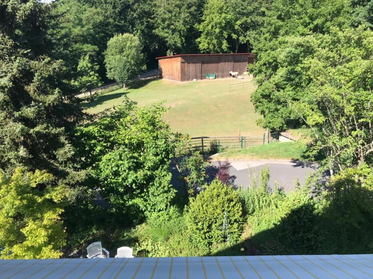 Pension-Ferienwohnung Liesbachtal Direkt Am Waldrand Bayerische Rhoen Schönau an der Brend الغرفة الصورة